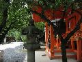 On the road to Kinkaku-ji