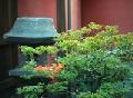 Kyoto by Olivier