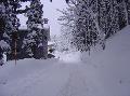 Ski week-end in Nagano