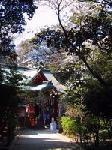Enoshima and Tokyo by Olivier