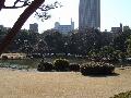 Nihon 2004 : Tokyo, enfin