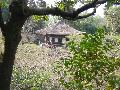 Nihon 2004 : Trip to Kyoto