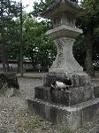 On the road to Kinkaku-ji