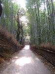 Nihon 2005: Kyoto, deep inside