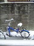 Nihon 2006: Snowing Tokyo