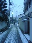 Nihon 2006: Snowing Tokyo