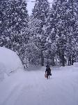 Ski week-end in Nagano